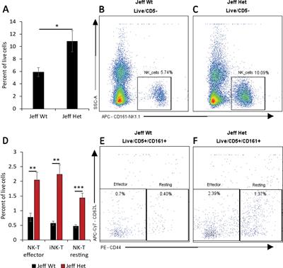 Mutation in Fbxo11 Leads to Altered Immune Cell Content in Jeff Mouse Model of Otitis Media